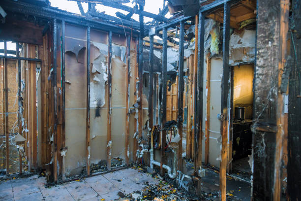 Professional Fire Damage Restoration technician working in Knoxville, MD